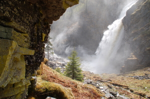 080530-17Venabu Myfallet